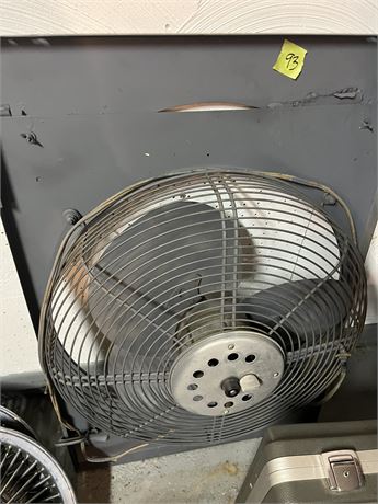 Fan
