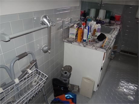 Bathroom Cleanout