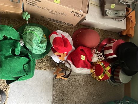 Costume Hat Lot