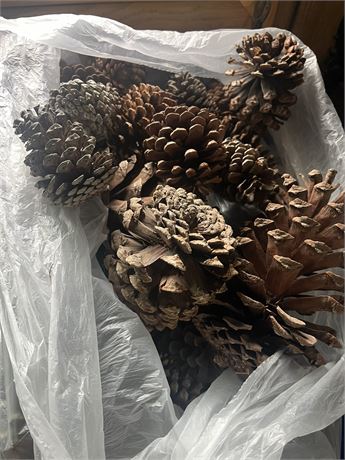 Pine Cones, Decor, Silk Flowers