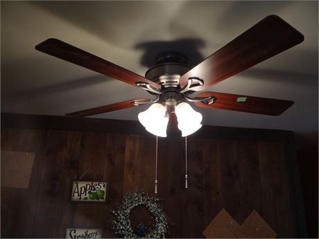 Ceiling Fan