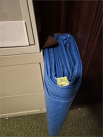 Blue Tarp