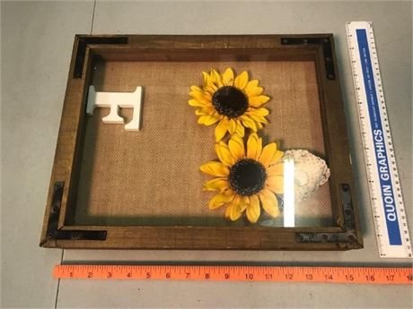 Display Case