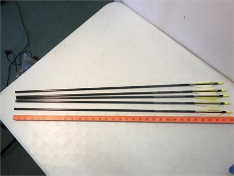 5 Easton Carbon Raider Arrows