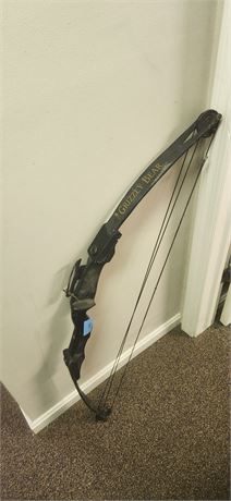 Compound Bow