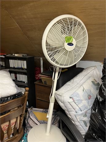 Fan