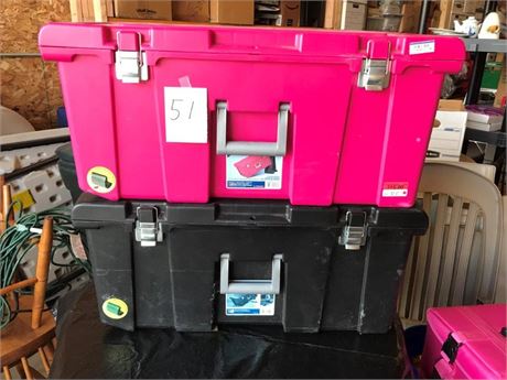 2 Sterilite Trunks/Containers