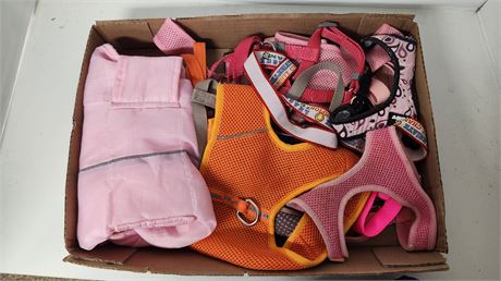 Lot Of Small Dog Items