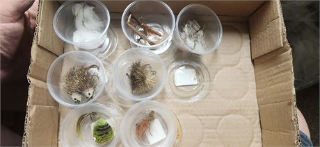 Lot Of Fishing Lures