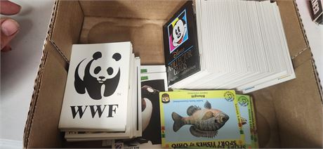 Lot Of Collectible Cards