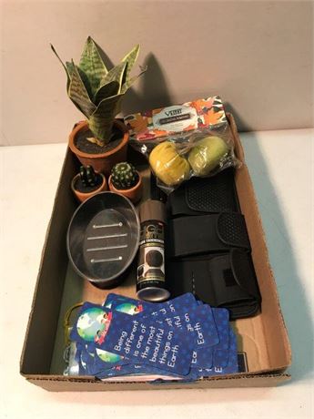 Flat of Miscellaneous (#2)