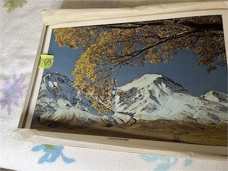 America the Beautiful Placemats