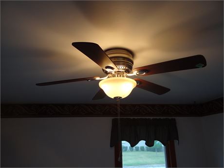 Ceiling Fan 1