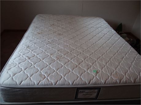 Nice Clean Mattress and Box Springs