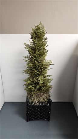 Decorative Tree And Stand