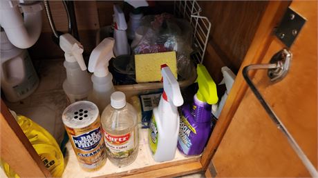 Cabinet Clean Out