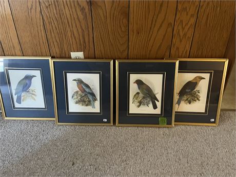 Bird Art (4)