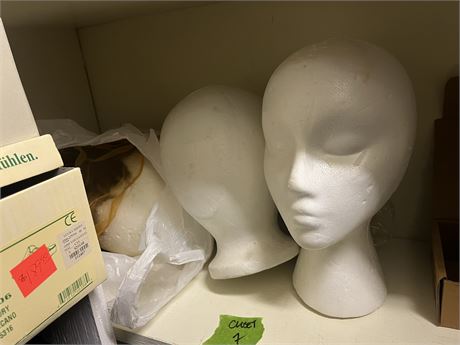Styrofoam Heads, Wig