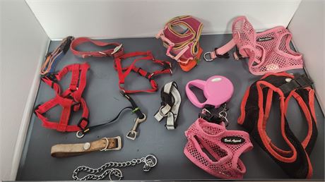 Various Dog Items