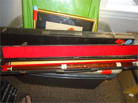 Poolstick & Carry Case