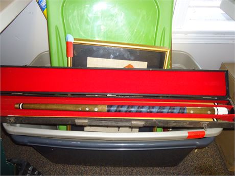 Poolstick & Carry Case