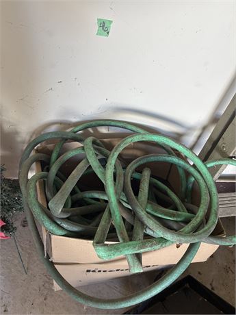 Hose