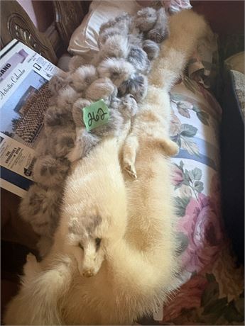 Animal Furs