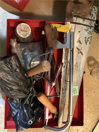 Tools, Painted Saw