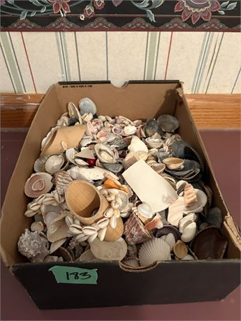 Shells