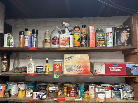 Shelf Lot
