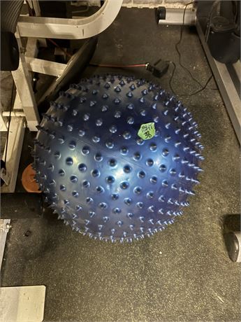 Exercise Ball
