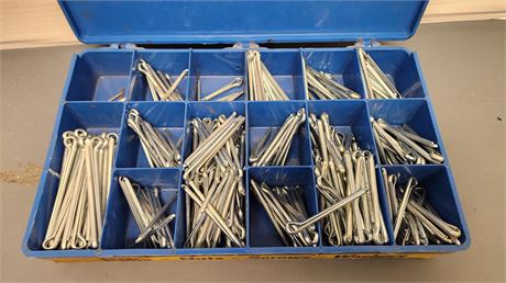 Copper Pins With Plastic Case
