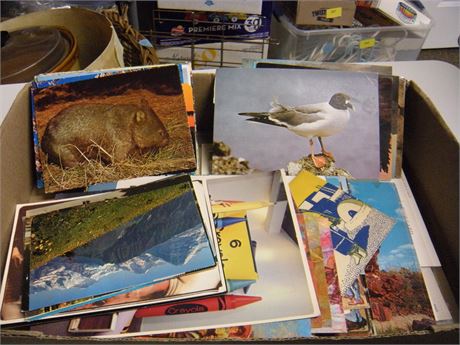 Lot Of Postcards
