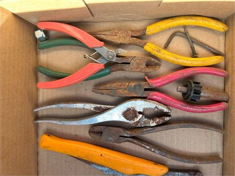 (RESALE) Flat of Pliers