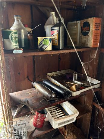 Shelf Lot