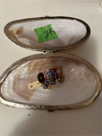 Jewelry Shell Case and Pins