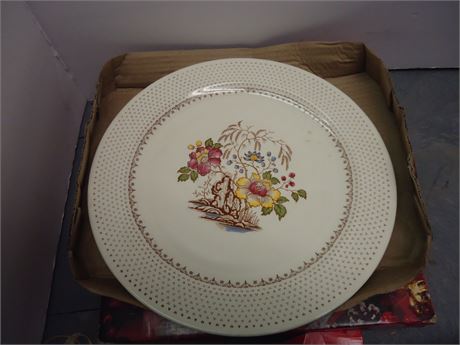 Collector plate