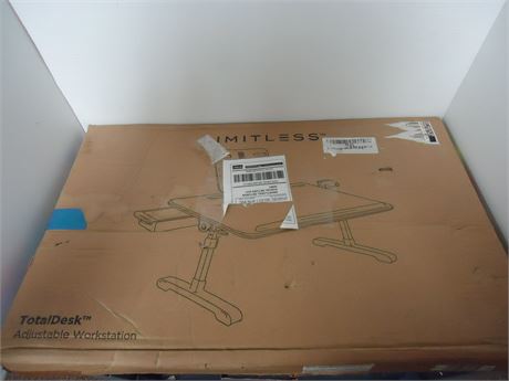 Limitless Total Desk Adjustable Workstation & Intex Filter Pump Hose