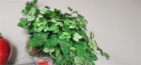 Artificial Plant