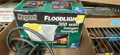Regent 300 Watt Halogen Floodlight