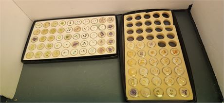Various Gemstones Lot & Containers