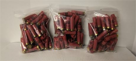 Empty Shotgun Shells
