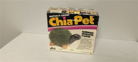 Turtle Chia Pet