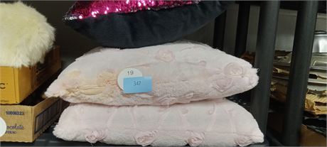 3 Decorative Pillows