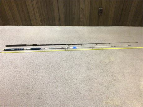 Heavy Duty Fishing Rods