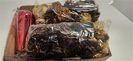 Pine Cones For Crafts & Misc.