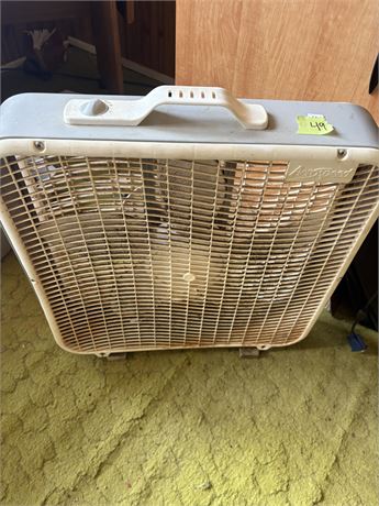 Fan