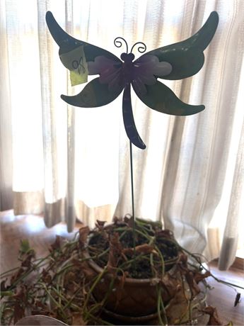 Plant, Decor