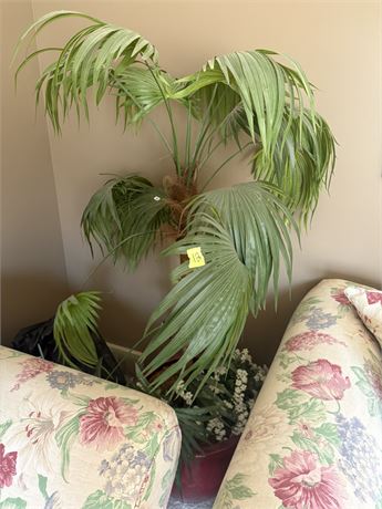 Artificial Palm Tree