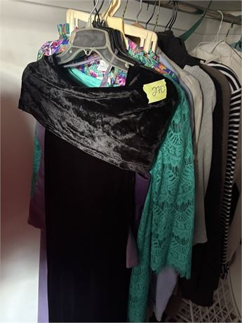 Women's Shirts (Top Left Side of Closet)
